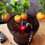 Have a Green Thumb with FlowerDuino.jpg